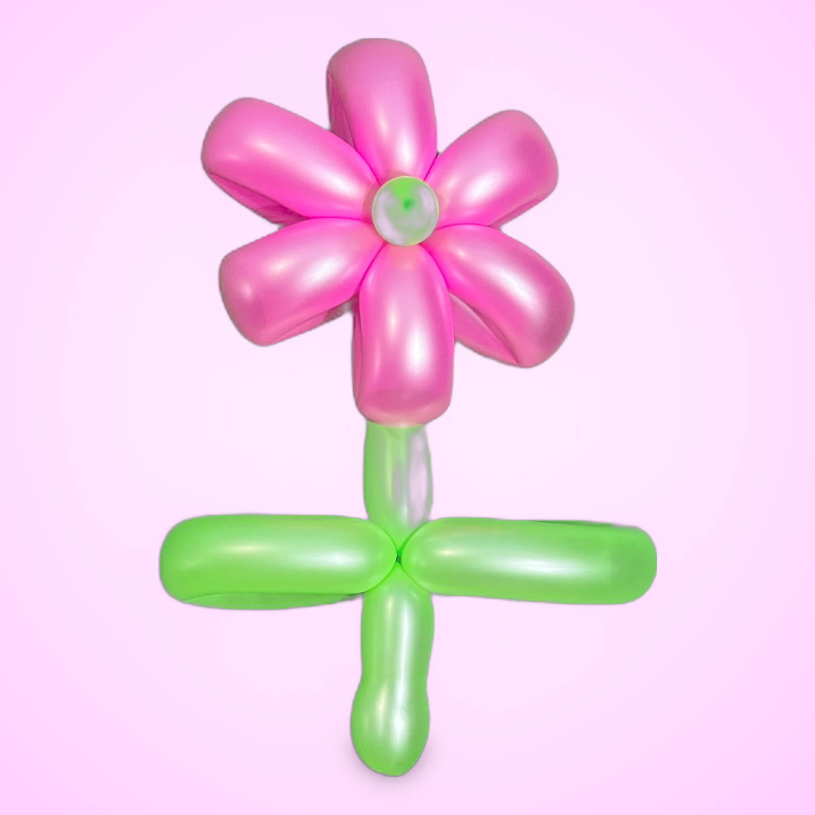 IMG_2840.PNG